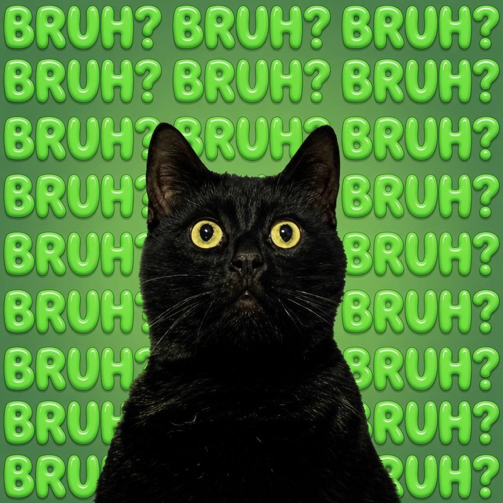 BRUH Cat Mascot